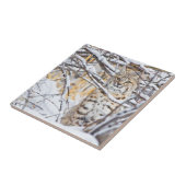 アメリカ、ワイオミング、ボブキャット タイル (側面)