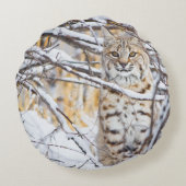 アメリカ、ワイオミング、ボブキャット ラウンドクッション (裏面)