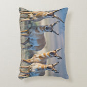 アメリカ，ワイオミング， 4プロンコーンアンテロープ アクセントクッション (正面(垂直))