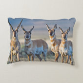 アメリカ，ワイオミング， 4プロンコーンアンテロープ アクセントクッション (裏面)