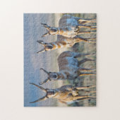 アメリカ,ワイオミング, 4プロンコーンアンテロープ ジグソーパズル (縦)