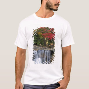 アメリカ ワシントン州レッドモンド。公園の紅葉 Tシャツ