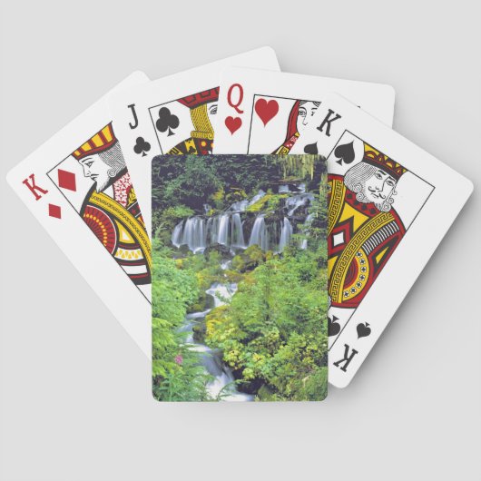 アメリカ、ワシントン州、アダムス山ウィルダネス。ツイン トランプ (裏面)