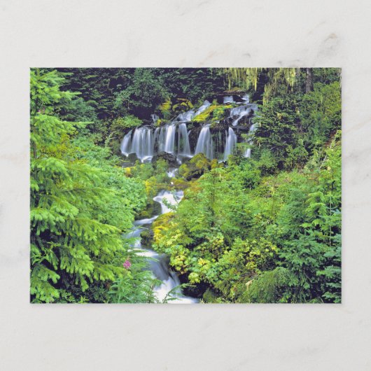 アメリカ、ワシントン州、アダムス山ウィルダネス。ツイン ポストカード (正面)