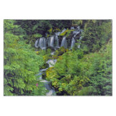 アメリカ、ワシントン州、アダムス山ワイルドネスツイン カッティングボード (正面)