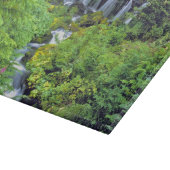 アメリカ、ワシントン州、アダムス山ワイルドネスツイン カッティングボード (角)