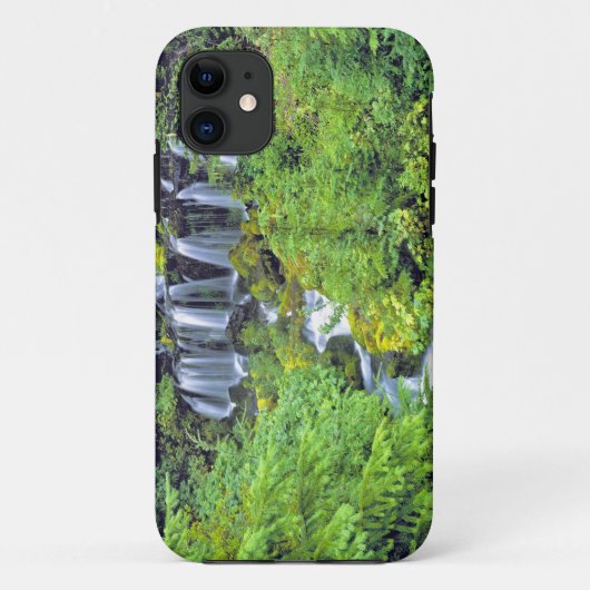 アメリカ ワシントン州 アダムズ山保護区 ツイン Case-Mate iPhoneケース (裏面)