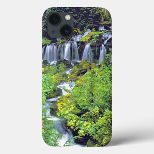 アメリカ ワシントン州 アダムズ山 Case-Mate iPhoneケース (裏面)
