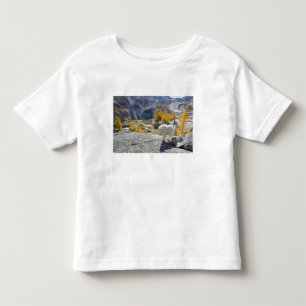 アメリカ、ワシントン州、アルパイン・レイクス・ウィルダネスの魅力 トドラーTシャツ