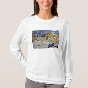 アメリカ、ワシントン州、アルパイン・レイクス・ウィルダネス・エンチャントメンツ Tシャツ