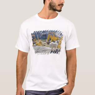 アメリカ、ワシントン州、アルパイン・レイクス・ウィルダネス・エンチャントメンツ Tシャツ