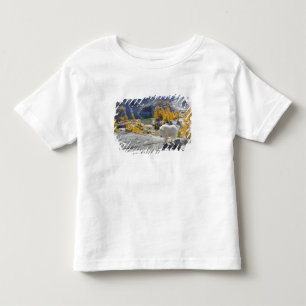 アメリカ、ワシントン州、アルパイン・レイクス・ウィルダネス・エンチャントメント トドラーTシャツ