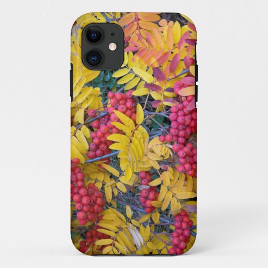 アメリカ, ワシントン州, ウェスタンマウンテンアッシュ, オカノガン Case-Mate iPhoneケース (裏面)