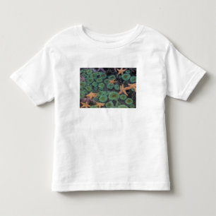 アメリカ, ワシントン州, オリンピック国立公園 トドラーTシャツ