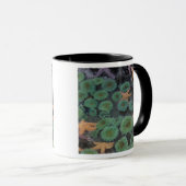アメリカ, ワシントン州, オリンピック国立公園 マグカップ (正面右)