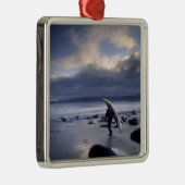 アメリカ、ワシントン州、オリンピック国立公園。 メタルオーナメント (右)