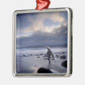 アメリカ、ワシントン州、オリンピック国立公園。 メタルオーナメント (左)