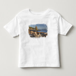 アメリカ, ワシントン州, オリンピック国立公園, リアルト トドラーTシャツ