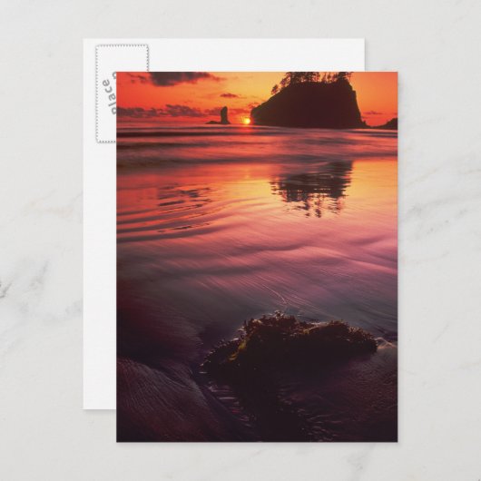 アメリカ ワシントン州 オリンピック国立公園. 夕焼け ポストカード (正面/裏面)