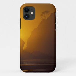 アメリカ, ワシントン州, オリンピック国立公園, 日没, 2 iPhone 11 ケース