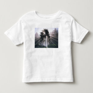 アメリカ、ワシントン州、オリンピック国立公園、朝 トドラーTシャツ