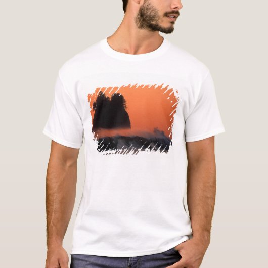 アメリカ, ワシントン州, オリンピック国立公園, 海 Tシャツ (正面)
