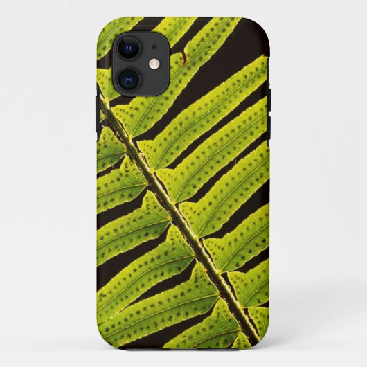 アメリカ、ワシントン州、オリンピック国立公園、逆光 Case-Mate iPhoneケース (裏面)