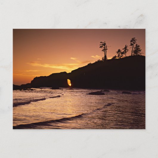 アメリカ、ワシントン州、オリンピック国立公園。2 ポストカード (正面)