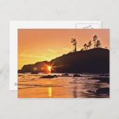 アメリカ、ワシントン州、オリンピック国立公園。3 ポストカード (正面/裏面)