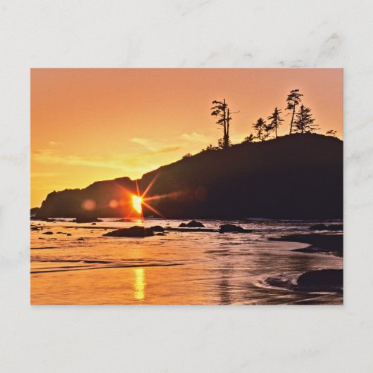 アメリカ、ワシントン州、オリンピック国立公園。3 ポストカード (正面)