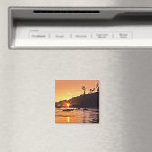 アメリカ、ワシントン州、オリンピック国立公園。3 マグネット (インサイチュ (食洗機))