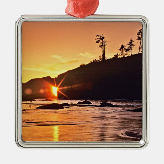 アメリカ、ワシントン州、オリンピック国立公園。3 メタルオーナメント (正面)