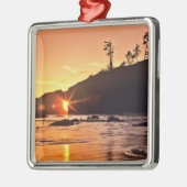 アメリカ、ワシントン州、オリンピック国立公園。3 メタルオーナメント (左)