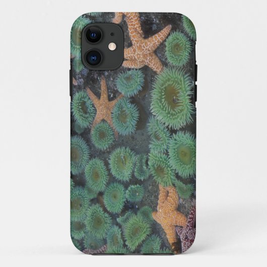 アメリカ、ワシントン州、オリンピック国立公園 Case-Mate iPhoneケース (裏面)