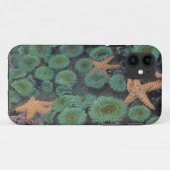 アメリカ、ワシントン州、オリンピック国立公園 Case-Mate iPhoneケース (裏面(横))