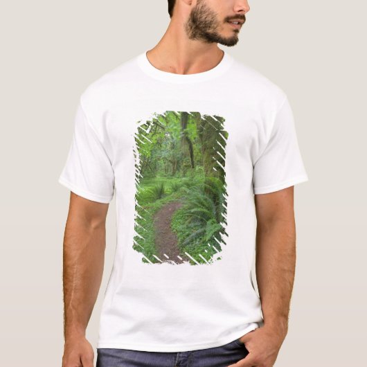 アメリカ, ワシントン州, オリンピック国立公園, Tシャツ (正面)
