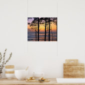 アメリカ、ワシントン州、オリンピックNP。デリケート ポスター (キッチン)