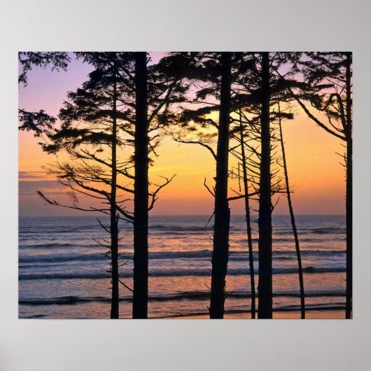 アメリカ、ワシントン州、オリンピックNP。デリケート ポスター (正面)