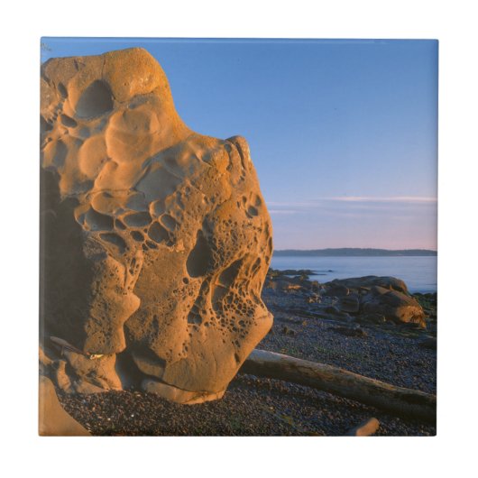 アメリカ、ワシントン州、オルカス島、ボルダー タイル (正面)