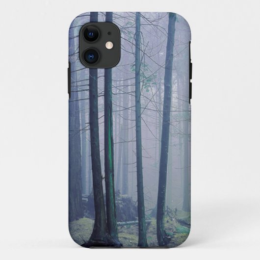 アメリカ、ワシントン州、オルカス島、モラン州立公園 Case-Mate iPhoneケース (裏面)