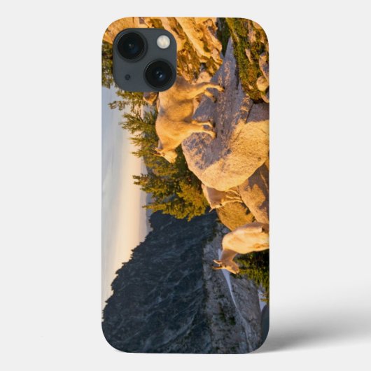 アメリカ, ワシントン州, カスケード山脈 4 Case-Mate iPhoneケース (裏面)