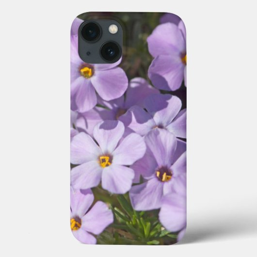 アメリカ, ワシントン州, カスケード山脈 6 Case-Mate iPhoneケース (裏面)