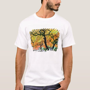 アメリカ, ワシントン州, シアトル, クボタ・ガーデン Tシャツ