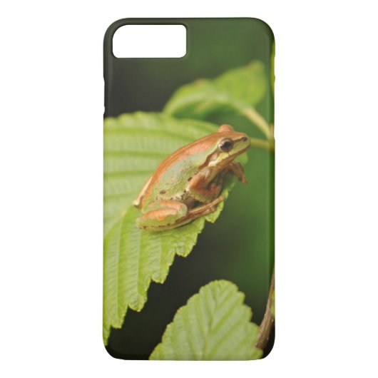 アメリカ、ワシントン州、シアトル、ディスカバリー公園 Case-Mate iPhoneケース (裏面)