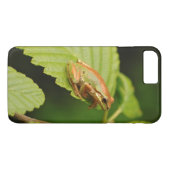 アメリカ、ワシントン州、シアトル、ディスカバリー公園 Case-Mate iPhoneケース (裏面(横))