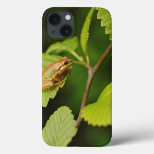 アメリカ、ワシントン州、シアトル、ディスカバリー公園 iPhone 13ケース
