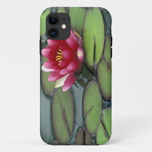 アメリカ、ワシントン州、シアトル。水蓮と Case-Mate iPhoneケース (裏面)