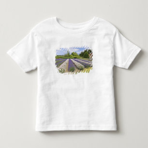 アメリカ, ワシントン州, シェクイム, パープルヘイズラベンダー農園 トドラーTシャツ