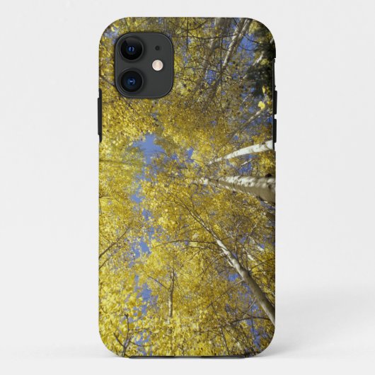 アメリカ, ワシントン州, スティーブンズ・パス 紅葉のヤマナラシ Case-Mate iPhoneケース (裏面)
