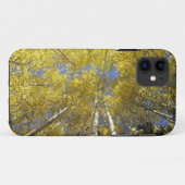 アメリカ, ワシントン州, スティーブンズ・パス 紅葉のヤマナラシ Case-Mate iPhoneケース (裏面(横))